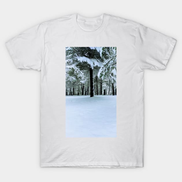 Under the Trees Cont'd T-Shirt by amararob